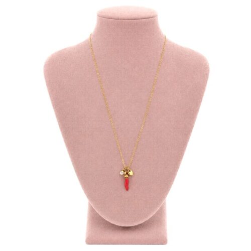 ketting goudkleurig hartje hanger pepertje rood